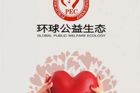 区块链+公益真的要颠覆传统公益了吗？全球多家公益基金会联合推出环球公益生态PEC