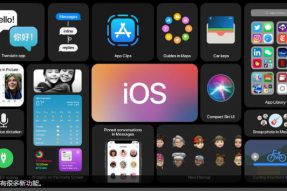 如何在iPhone上下载iOS 14公开测试版