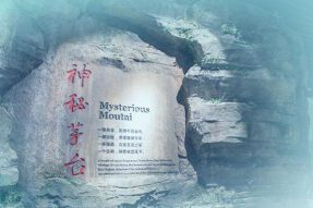 茅台全力冲刺100天，确保全面完成2020年目标任务