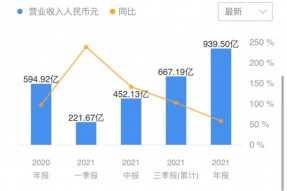 拼多多2021全年营收939.50亿元同比增长58%